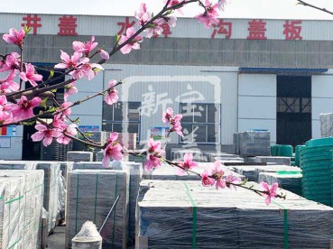 花满枝头，春意盎然